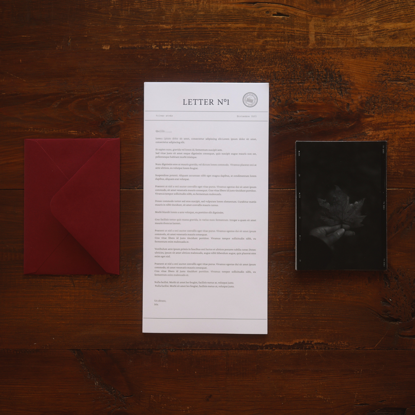 The Secret Letter Society