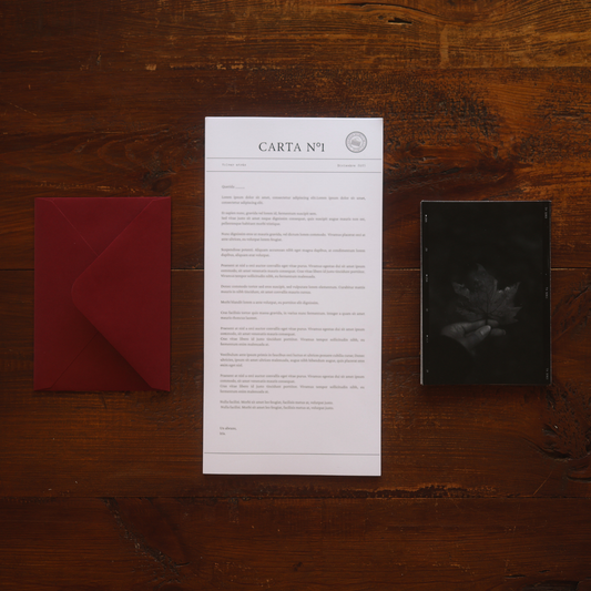 La Sociedad Secreta de las Cartas