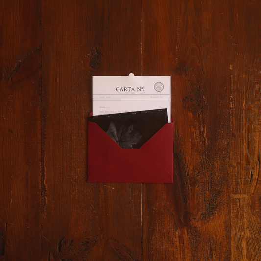 La Sociedad Secreta de las Cartas